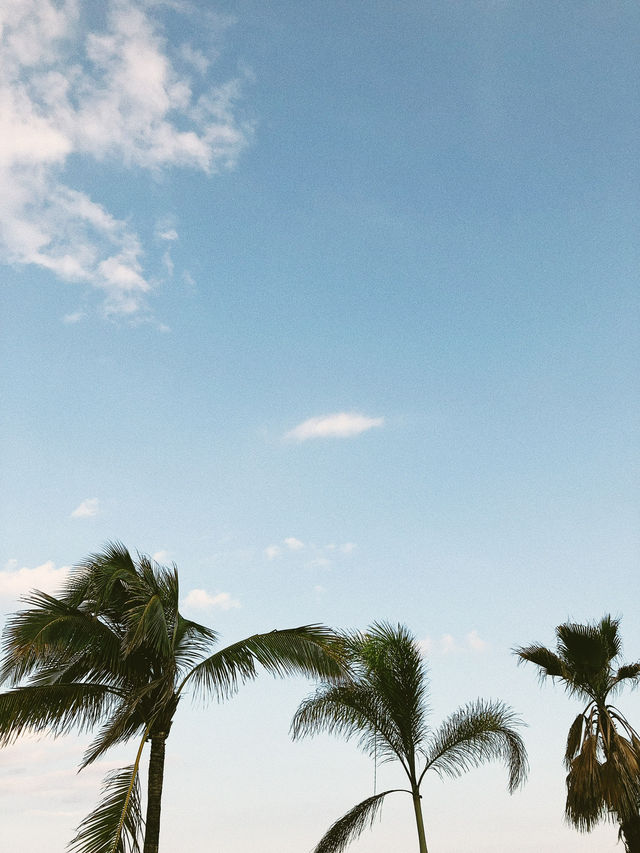 Sun, Sweets & Seaside Vibes – Ocean City 🇺🇸