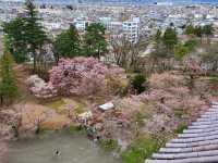 若松城(鶴ヶ城)