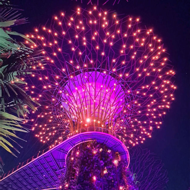 Moonlight Magic at Gardens by the Bay 🇸🇬