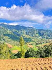 Tegal terrace cafe