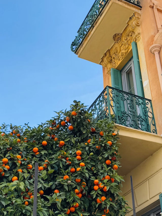 🌞 The Off-Season in South France: The Best Time for a Dreamy Trip