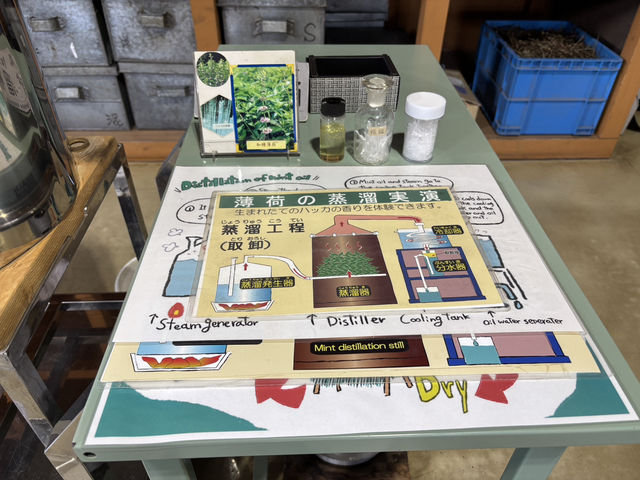 【北海道】ミント好きにおすすめ【薄荷蒸溜館】