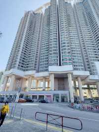 香港 ｜世界十大最佳纜車體驗 昂坪360