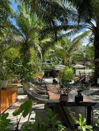 คาเฟ่ลับกลางสวนปาล์มที่จ. พังงา