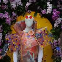 The Bronx in Bloom: The Orchid Show at NYBG