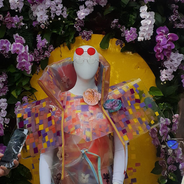 The Bronx in Bloom: The Orchid Show at NYBG