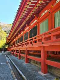 โตเกียว One Day Trip ที่ Kamakura