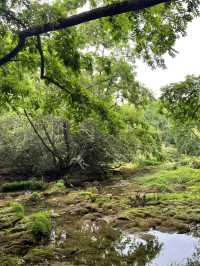 Exploring Huangguoshu Waterfall Scenic Area