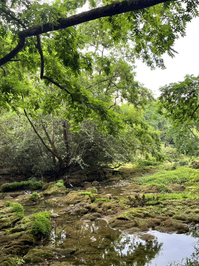 Exploring Huangguoshu Waterfall Scenic Area