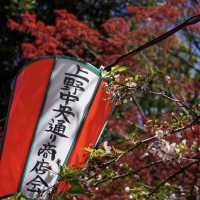 上野公園 (Ueno Park)
