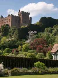 Step Into a Timeless Wonderland at Powis Castle and Garden, Welshpool, Powys