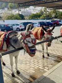 A Day in Mijas – White Walls, Blue Skies & Andalusian Calm