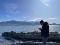 一頓龍蝦早餐開啟南島的藍｜Kaikoura 海岸半日小旅行