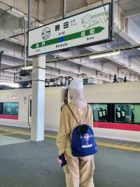 A PEACEFUL SPRING GETAWAY IN THE EASTERN KANTO REGION