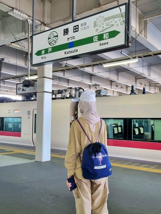 A PEACEFUL SPRING GETAWAY IN THE EASTERN KANTO REGION