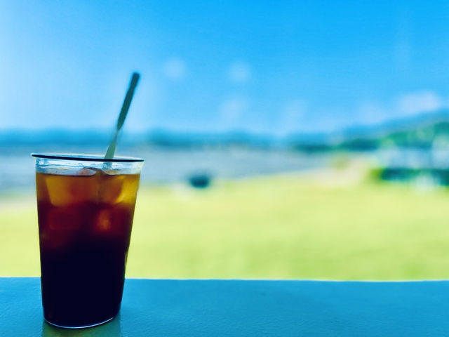 🇻🇳 대부도 힐링카페 뮤시엄 💕