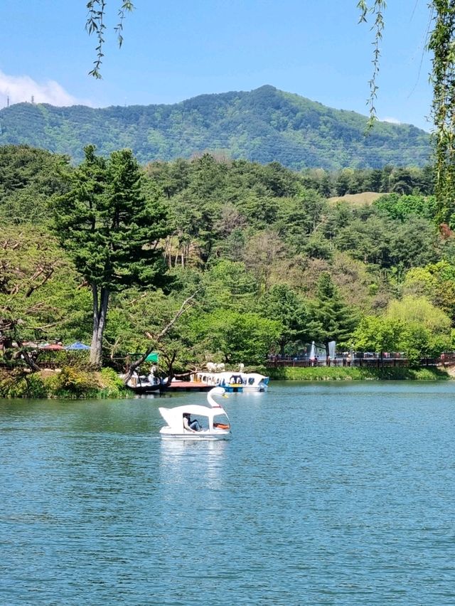  가족끼리 당일치기로 가기 좋은 제천 의림지 여행코스