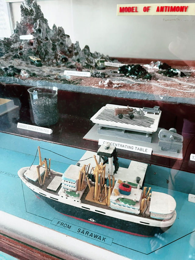  Discover the Wonders of the Natural History Museum in Downtown Kuching