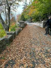 From Ocean to Summit: Hiking the Beehive Trail in Acadia