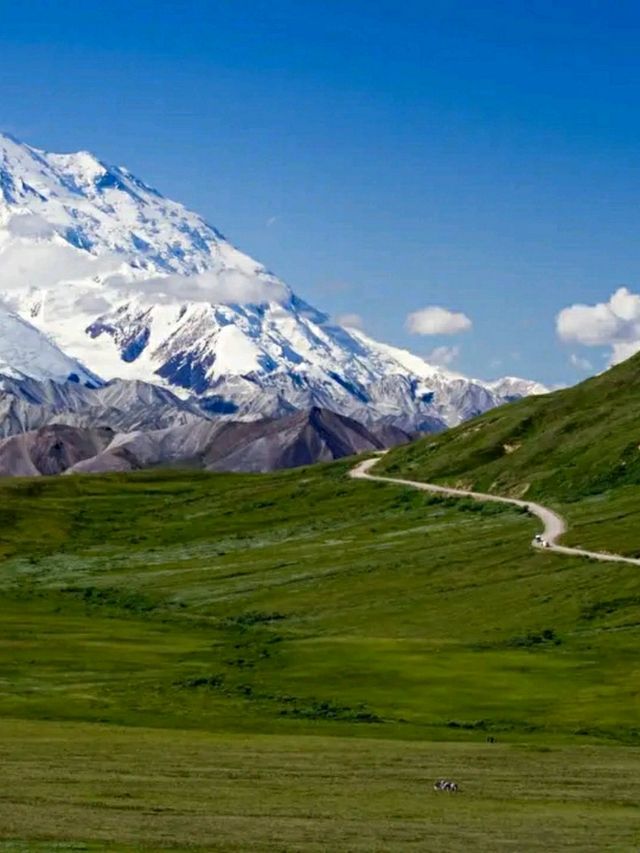 Into the Wild: Hiking Denali’s Untamed Trails"l
