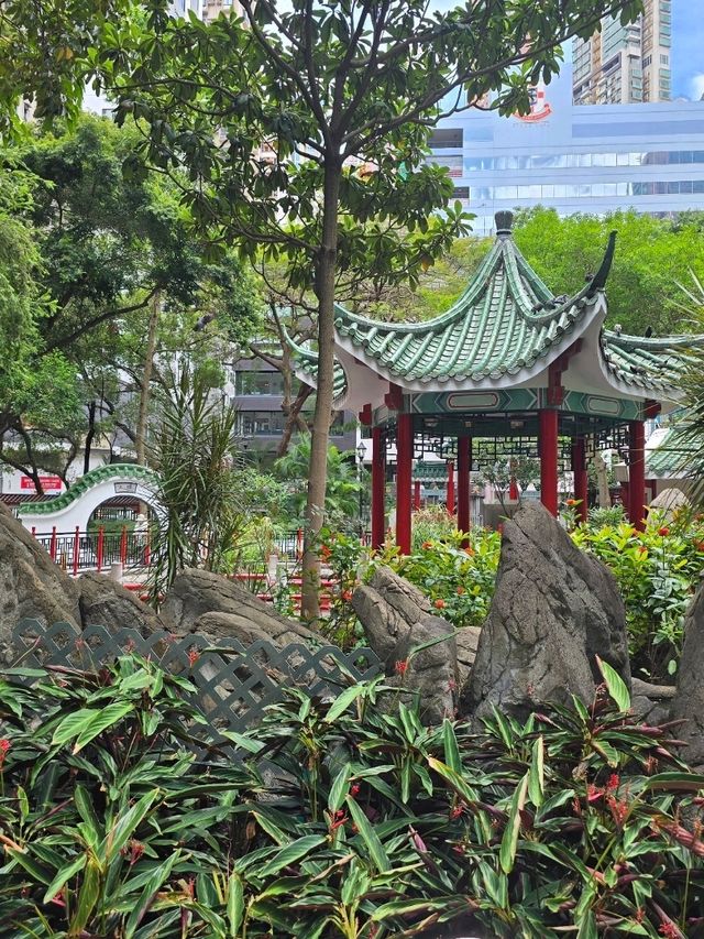 Hollywood Road Park 🏞️