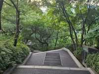 Namsan Park: The Road Less Traveled to Seoul Tower