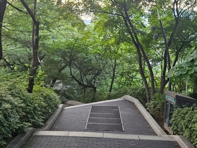 Namsan Park: The Road Less Traveled to Seoul Tower
