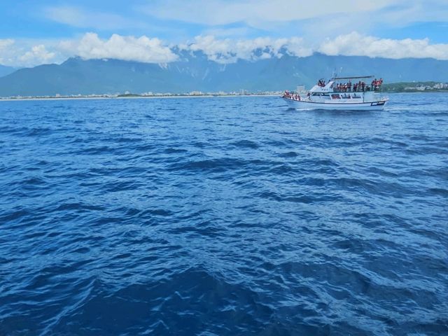 在花蓮與太平洋有約，海風、釣魚與賞鯨的完美時光