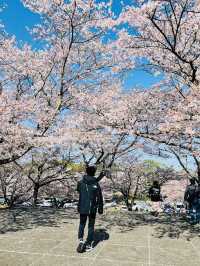 The Yuuyuu Park
