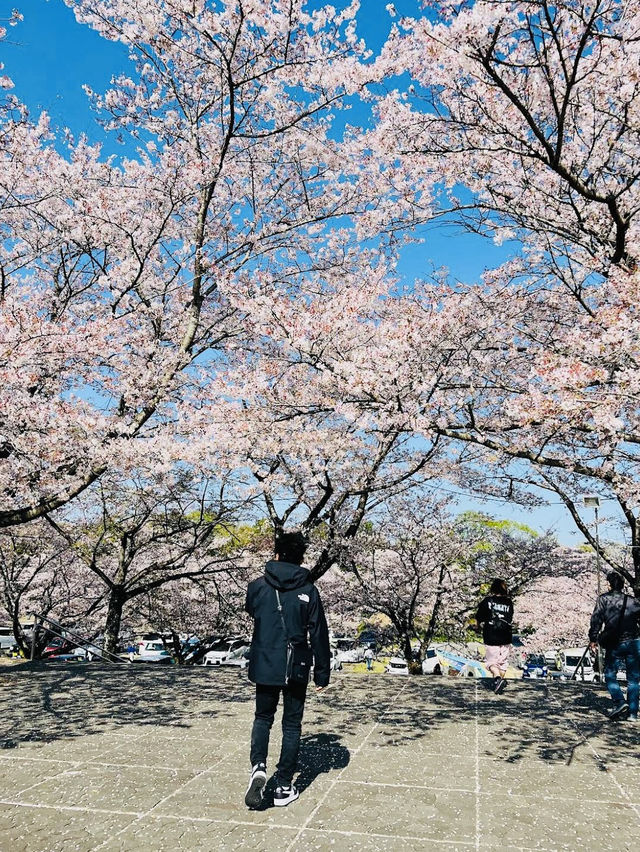 The Yuuyuu Park