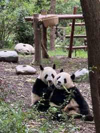 🌍 Exploring China – Nature on Steroids!