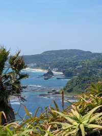 【伊豆】まるで南国🌴絶景スポットでチルタイム