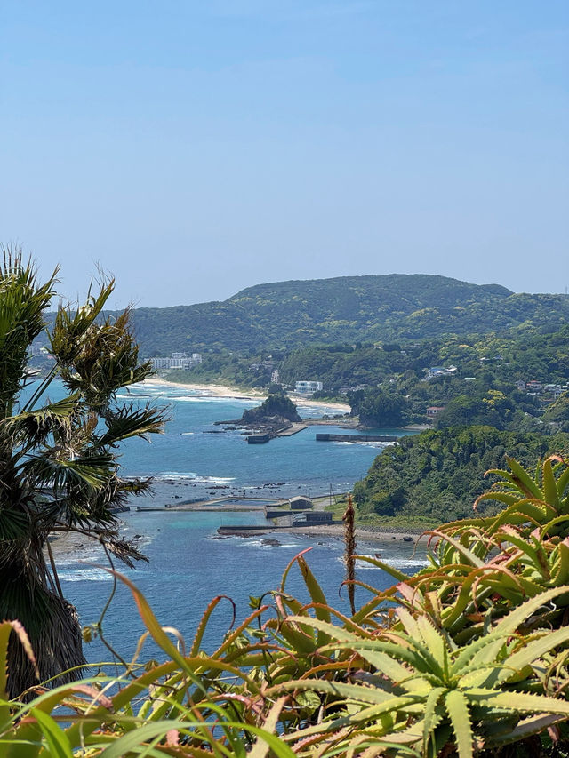【伊豆】まるで南国🌴絶景スポットでチルタイム
