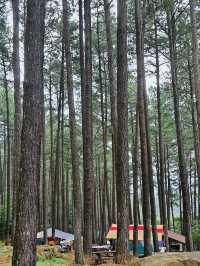 The Baekun Mountain Natural Recreation Fores