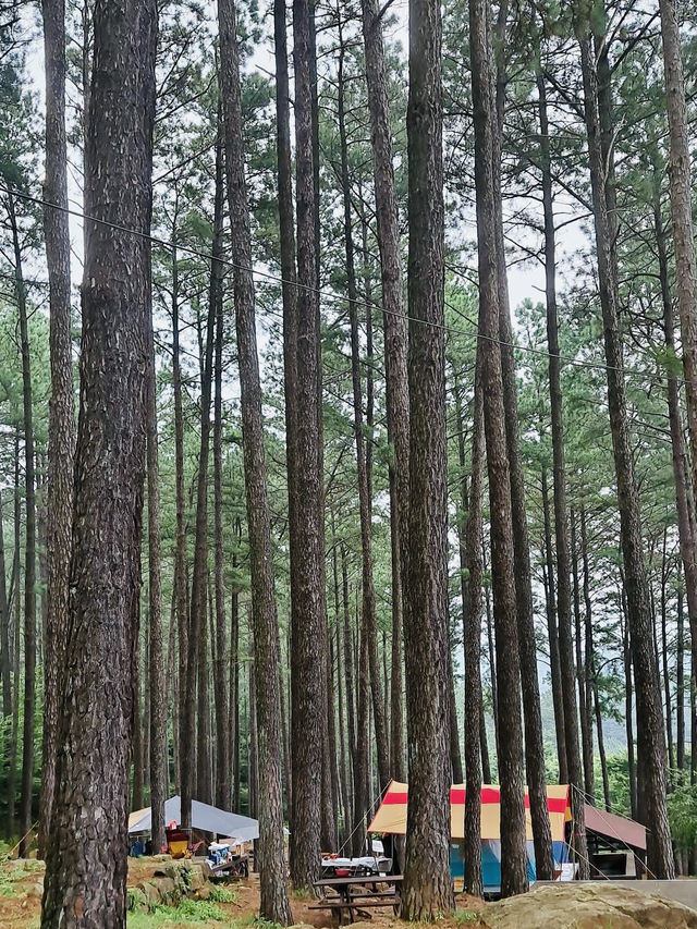 The Baekun Mountain Natural Recreation Fores