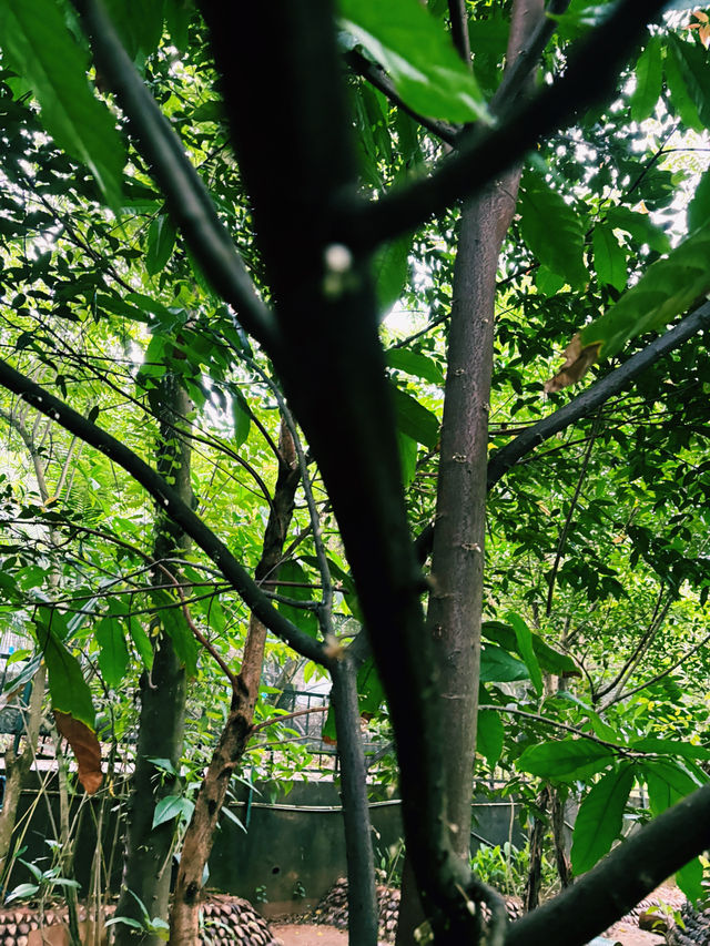 🌿✨Nature Garden 75 – 五感で楽しむ、スリランカのスパイスガーデン✨🌿