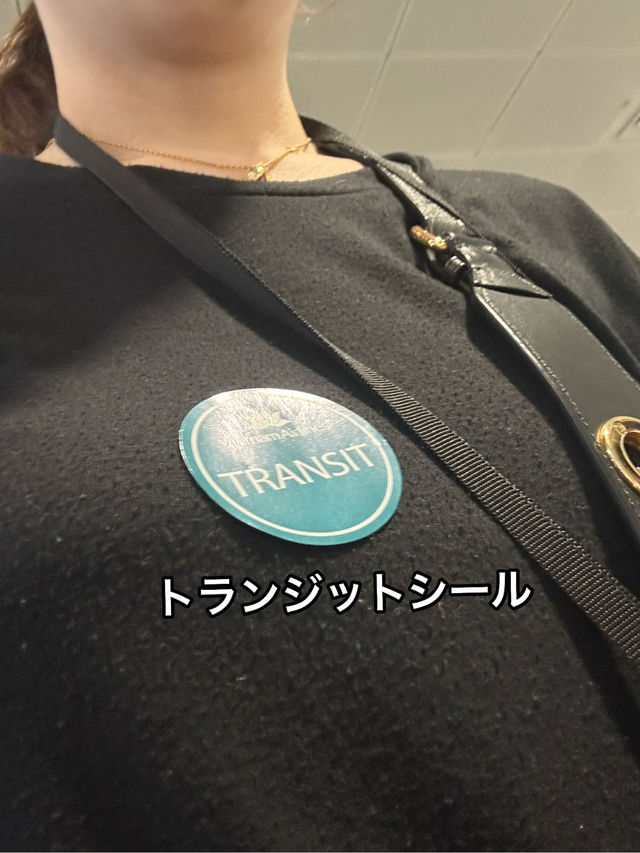 【成田→ハノイ】ビジネスクラス搭乗記＆ハノイ国際線→国内線移動