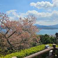 Kasamatsu Park: Cherry Blossoms and Heavenly Views