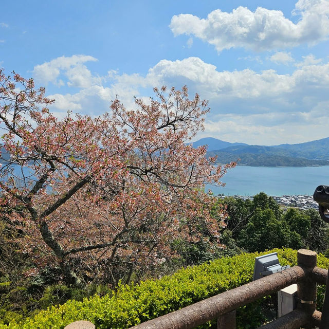 Kasamatsu Park: Cherry Blossoms and Heavenly Views