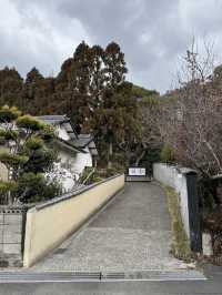 【福岡旅行】森の中の隠れ家レストラン🌳