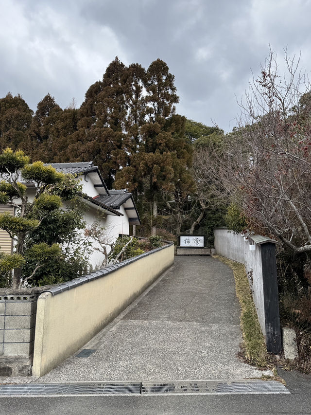 【福岡旅行】森の中の隠れ家レストラン🌳