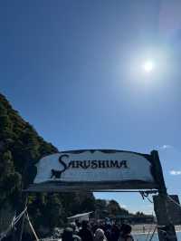 東京からすぐ行ける秘境🫣🌿豊かな自然と済んだ海の美しい無人島🏝