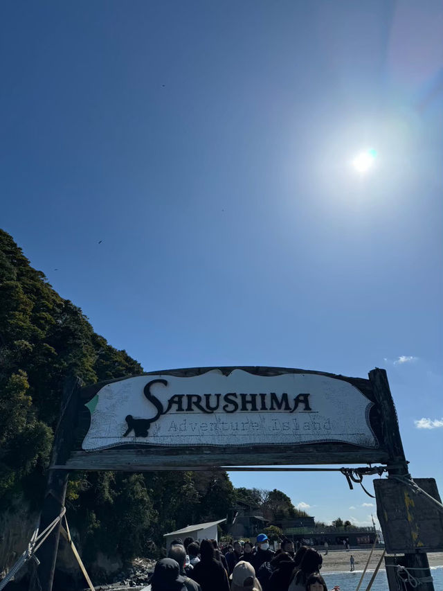 東京からすぐ行ける秘境🫣🌿豊かな自然と済んだ海の美しい無人島🏝