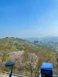 🌆 남산타워, 서울의 아이콘!