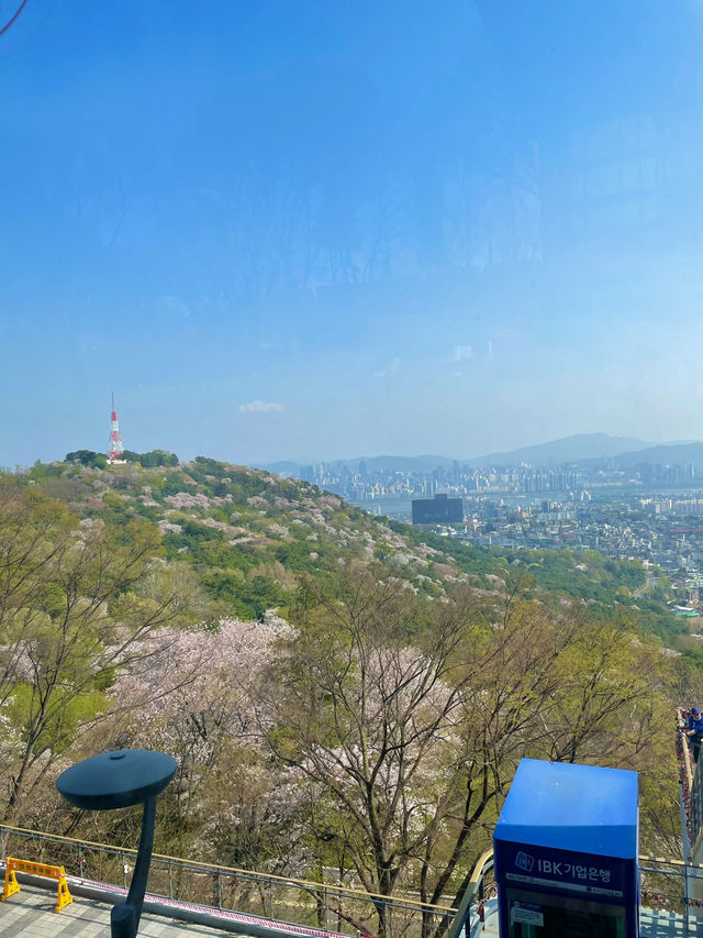 🌆 남산타워, 서울의 아이콘!