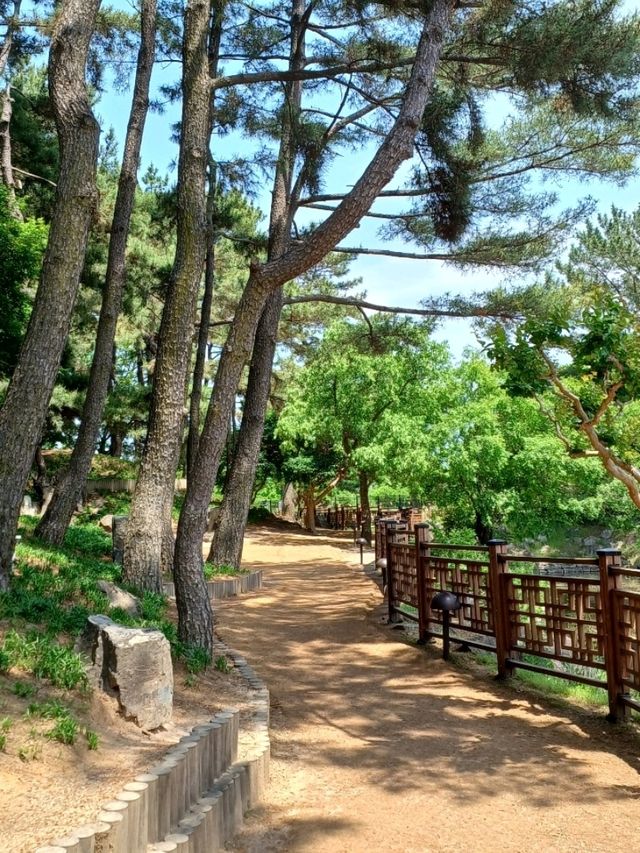 역사 속 정원에 핀 벚꽃, 동궁과 월지의 봄 향기