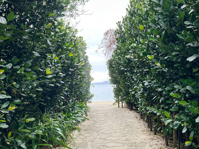 🇯🇵日本|沖繩🇯🇵  北部住宿  金秀喜瀨海灘宮殿酒店