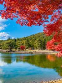 🏞️ 雄大な自然と歴史を感じる旅へ──岩手県 🌾