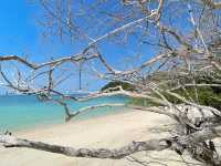 haad tien beach resort