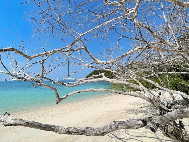 haad tien beach resort